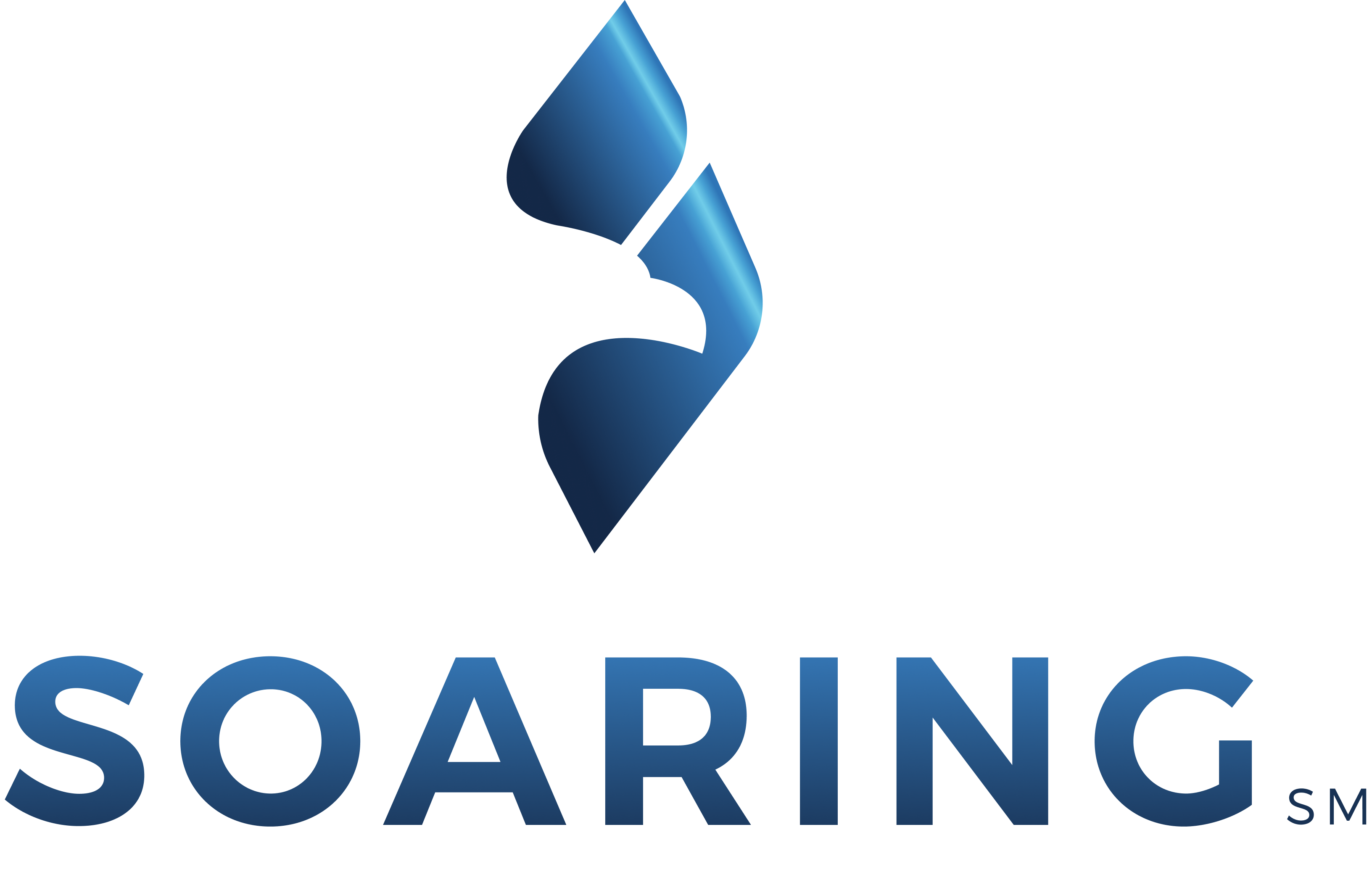 Soaring mark — blue gradient